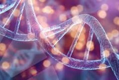 Revolutionary Gene Therapy Offers New Hope Against Previously Untreatable Blood Cancer